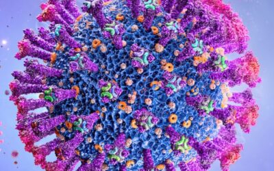 Pentagon Reacting to Biden Order – Working on Plan for Mandatory COVID-19 Vaccinations